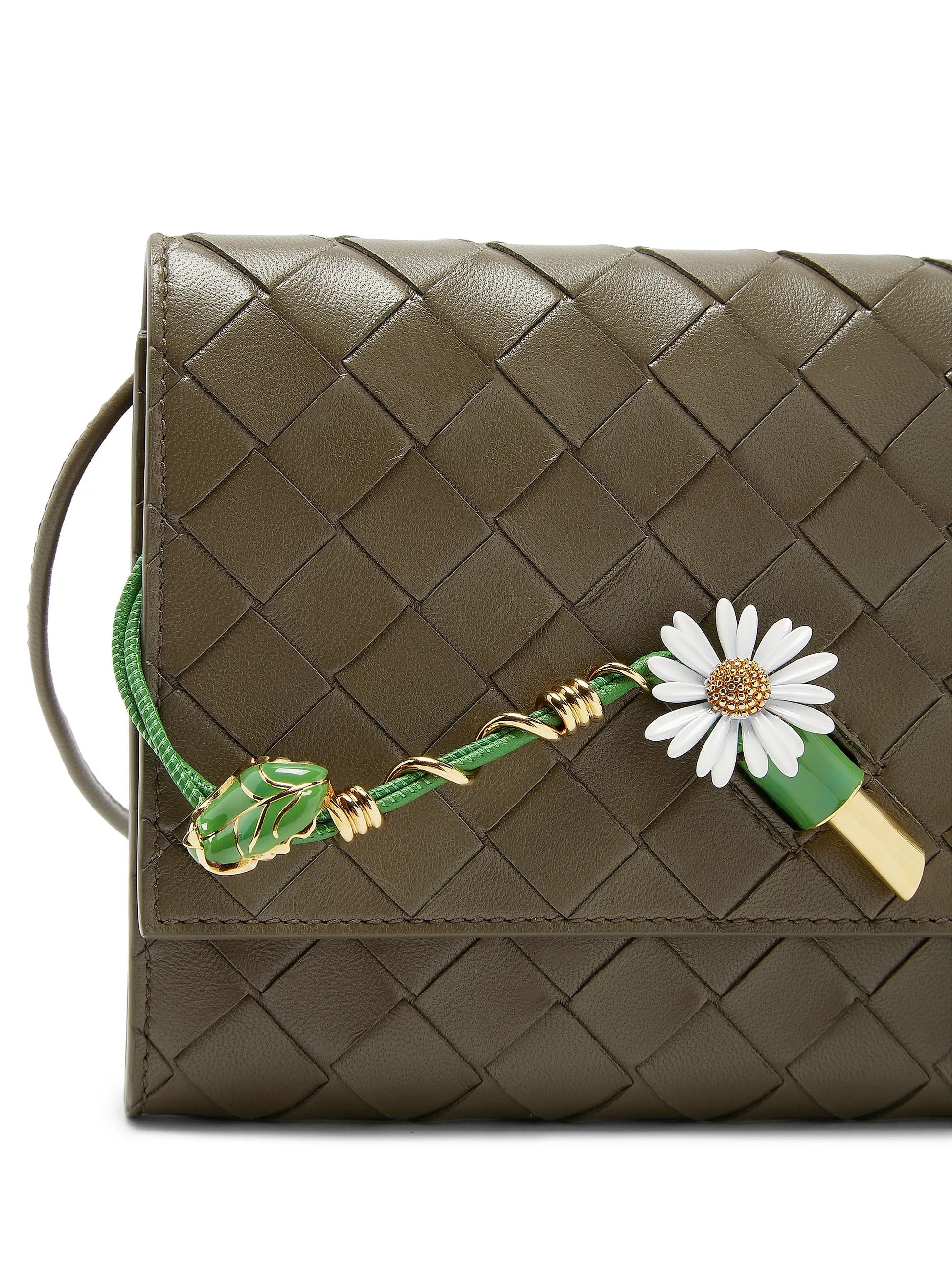 #color_cypre-daisy