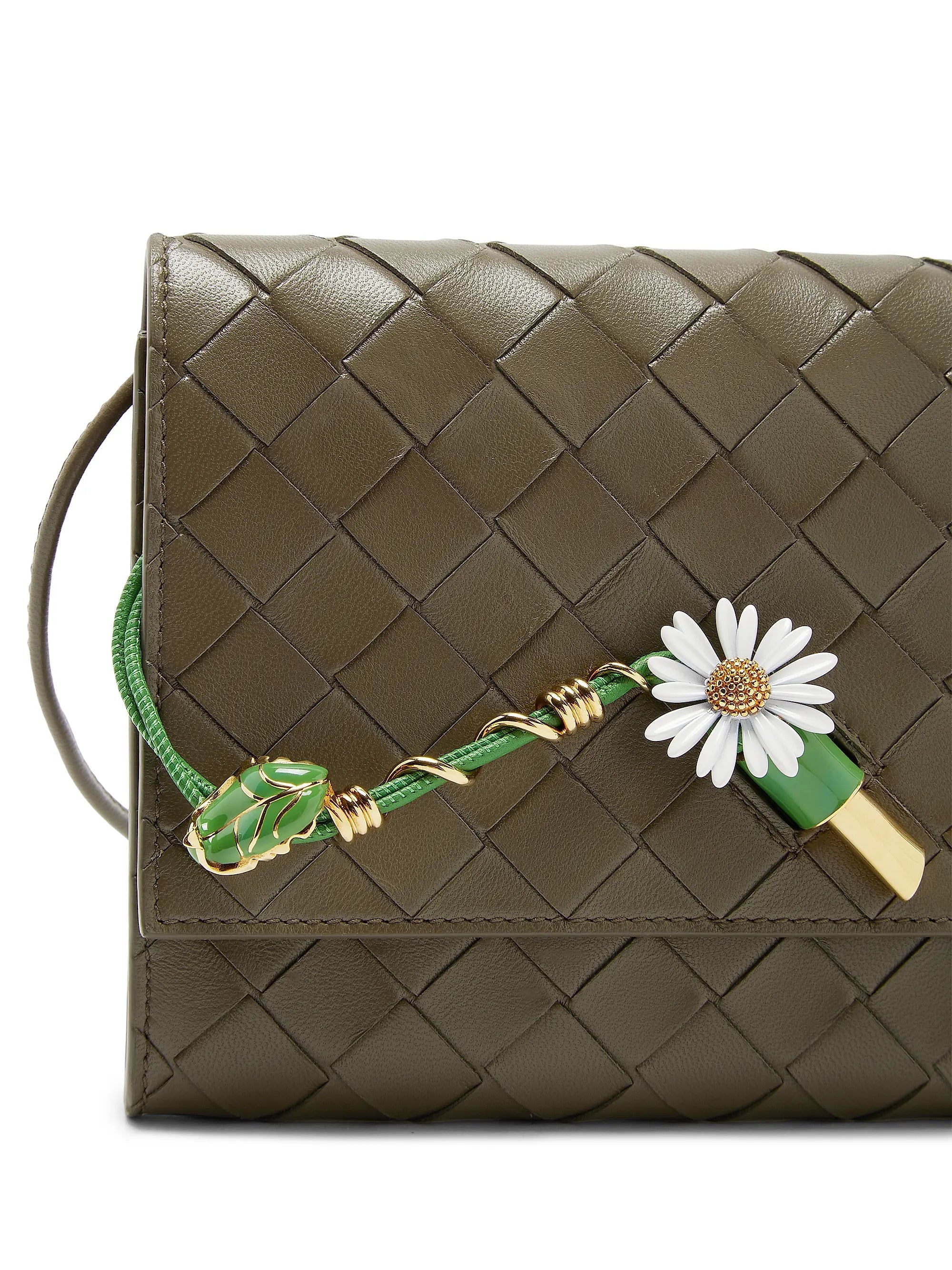#color_cypre-daisy
