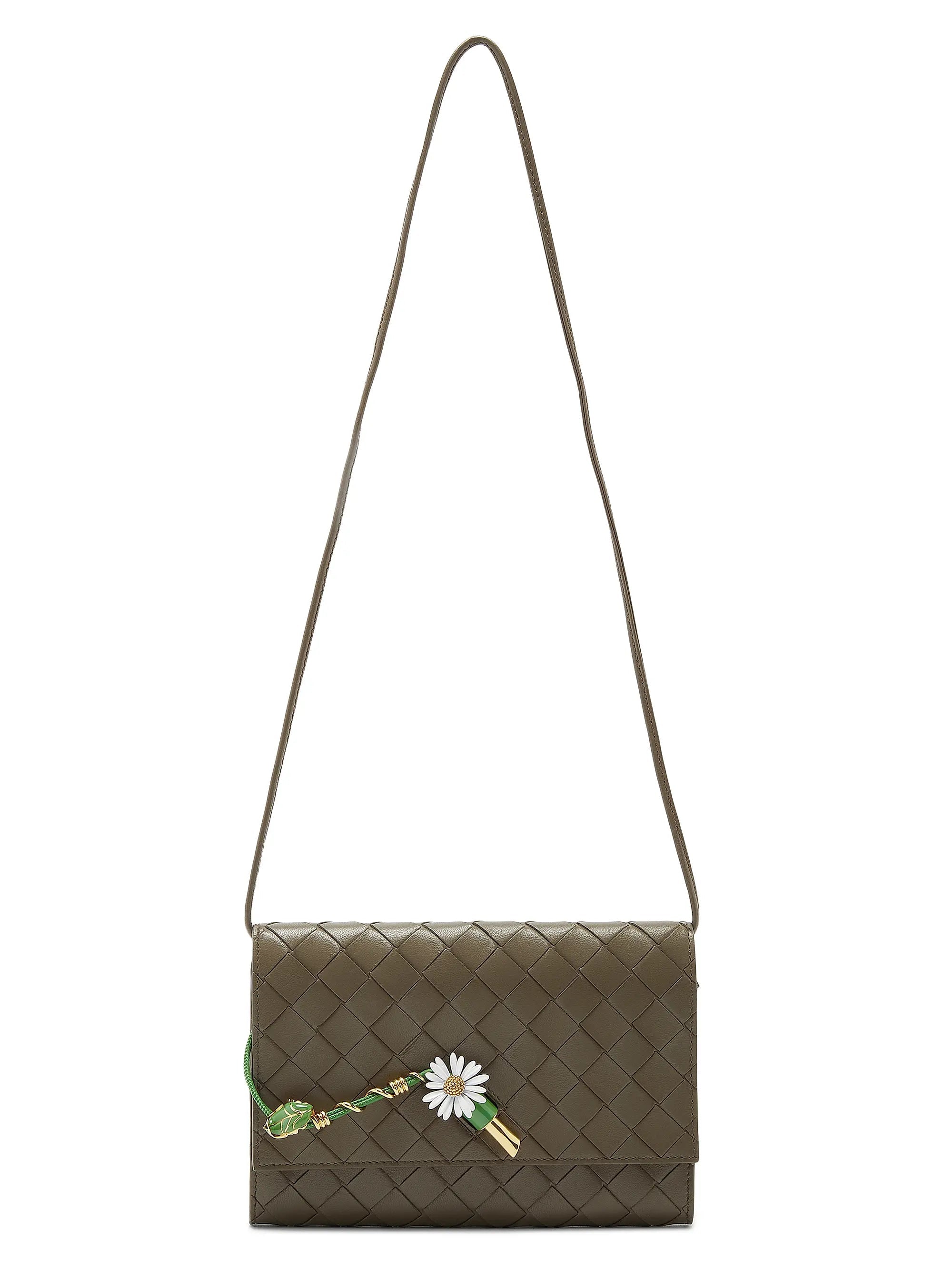 #color_cypre-daisy