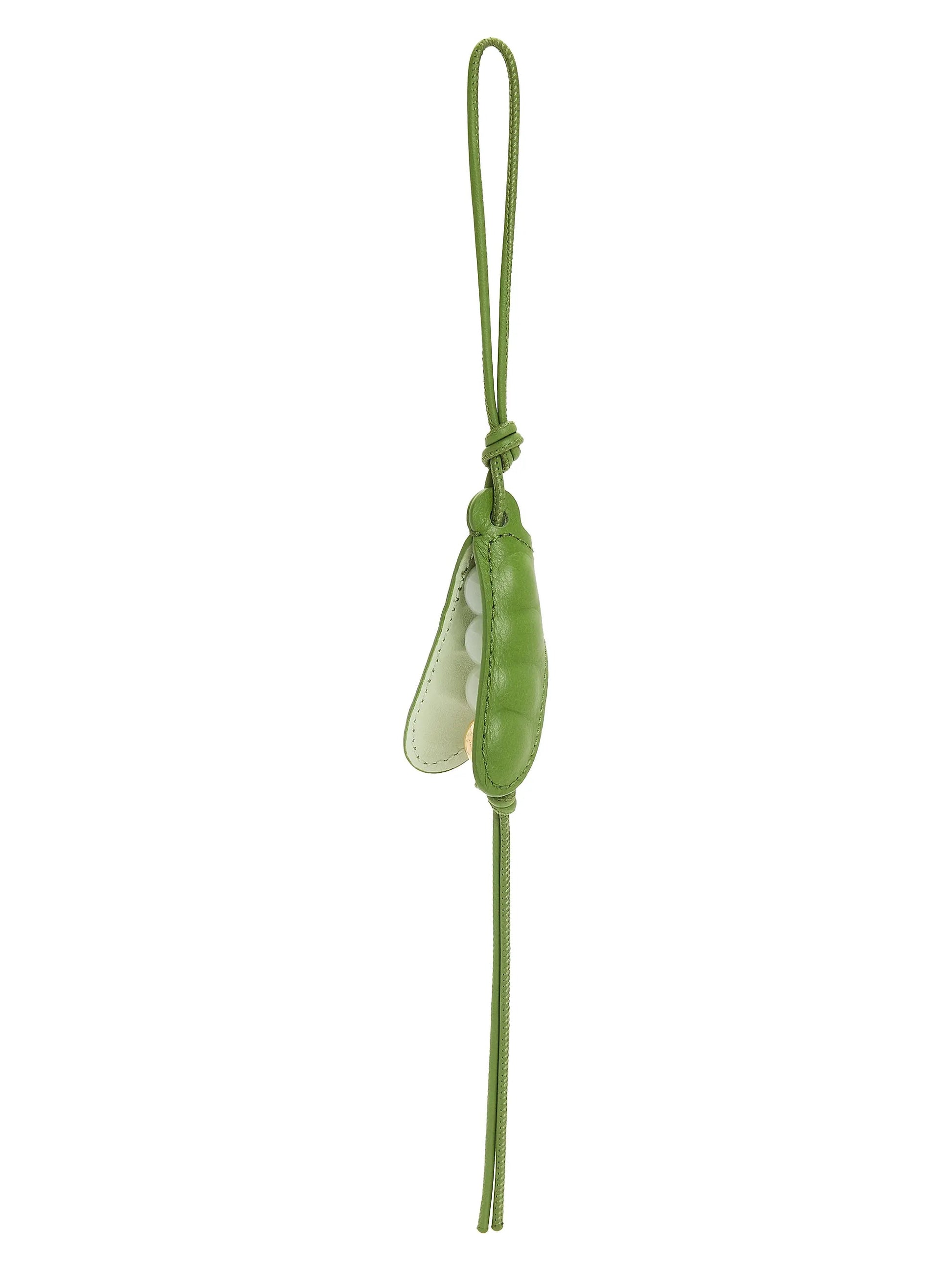 #color_spring-green-jade