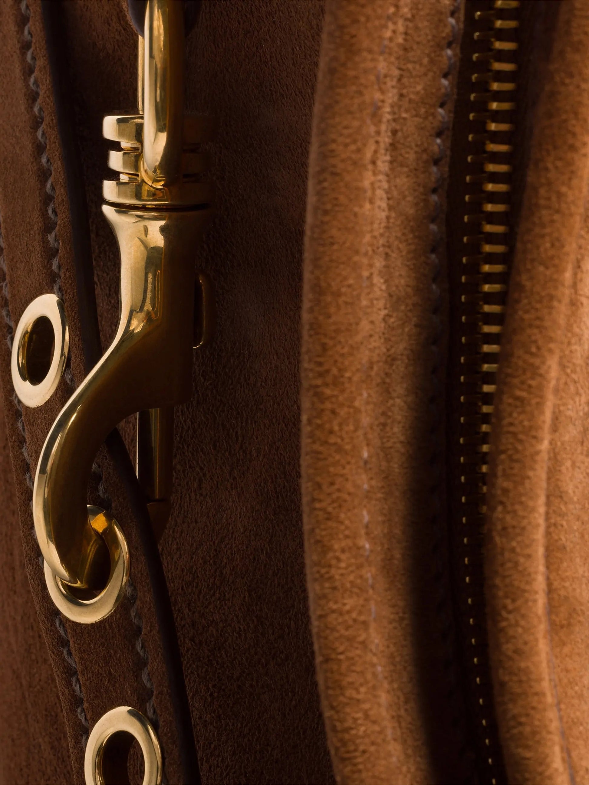 #color_brown