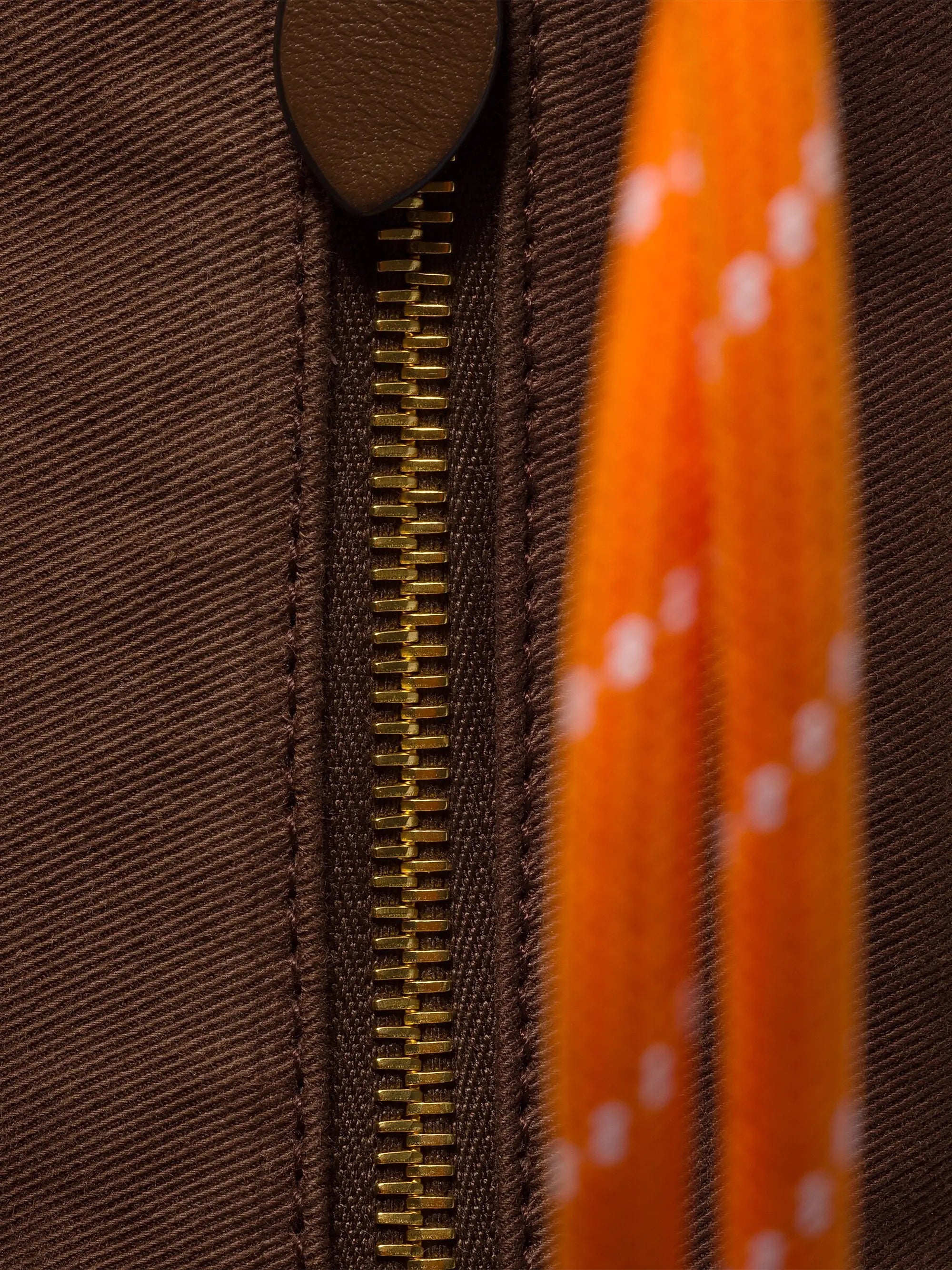 #color_brown