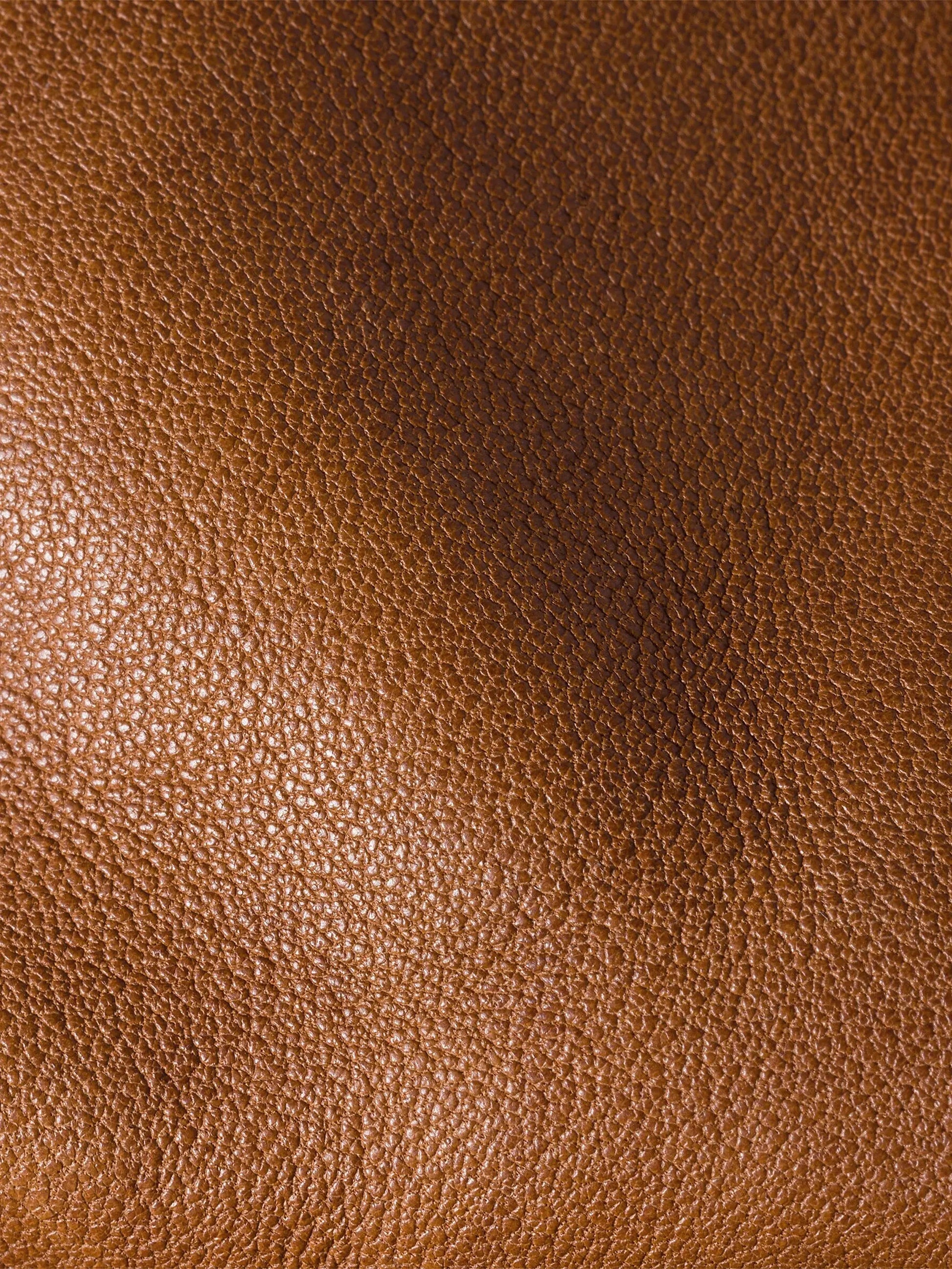 #color_brown