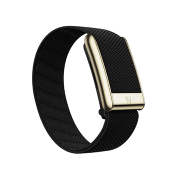 Whoop 5.0 Superknit Luxe Obsidian with Gold Band (12 Month Peak Subscription Included) One Size