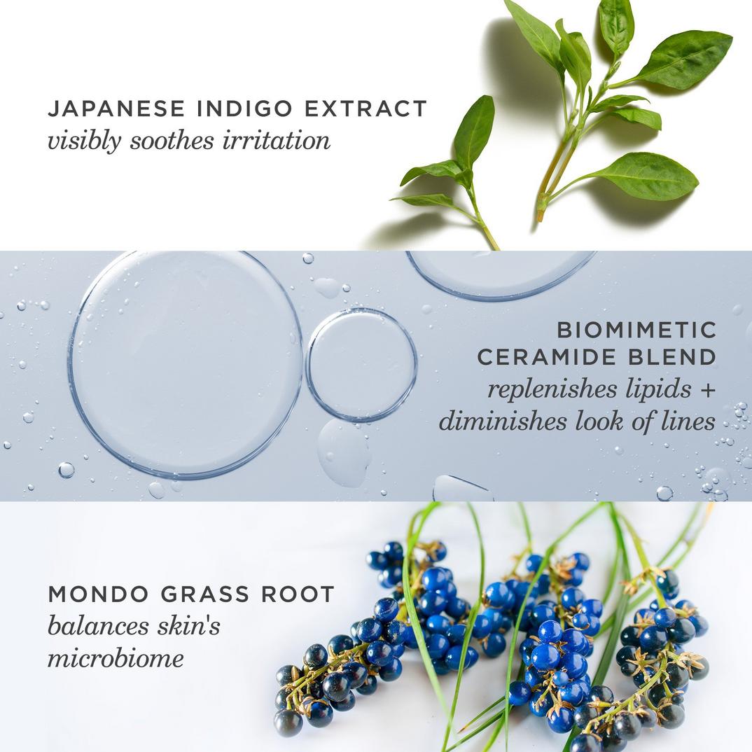 TATCHA Indigo Overnight Repair Redness Reducing Barrier Cream