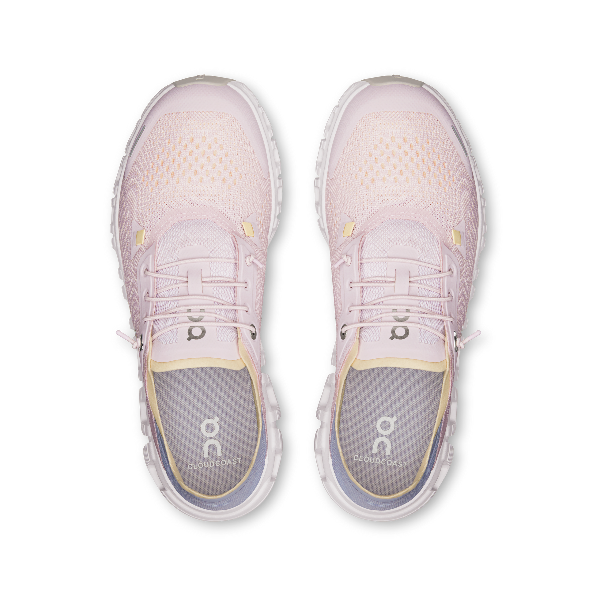 On Cloud 6 Coast Orchid Nimbus (Women'S)