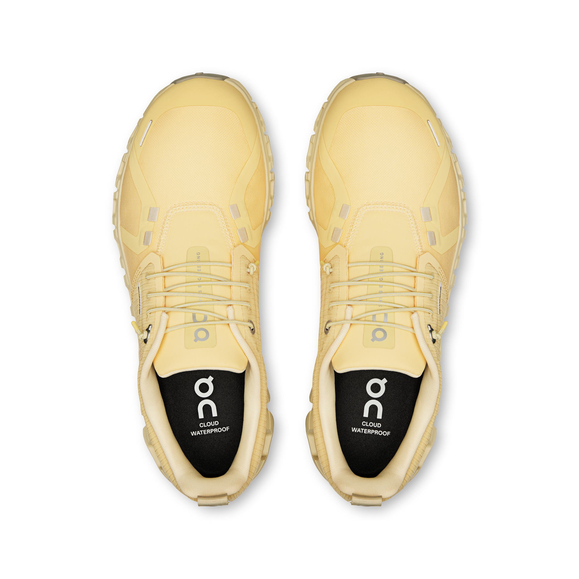 On Cloud 6 Waterproof Nectar Castor (Women'S)