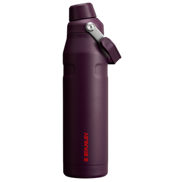 IceFlow Bottle with Fast Flow Lid | 36 OZ Plum Plum
