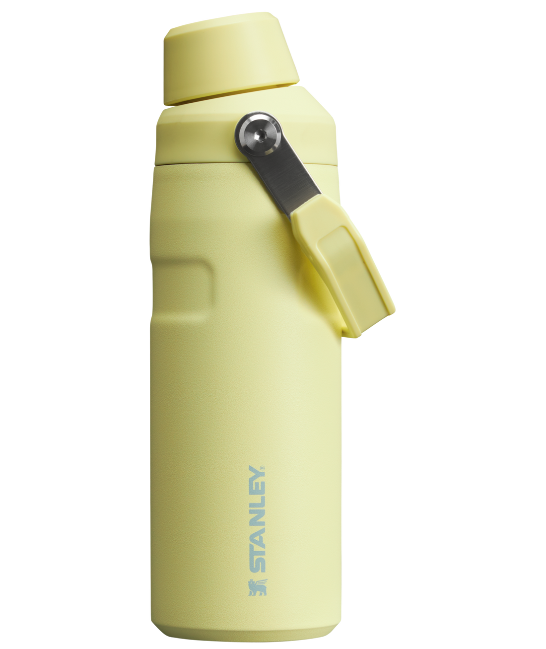IceFlow Bottle with Fast Flow Lid | 16 OZ Pomelo Pomelo