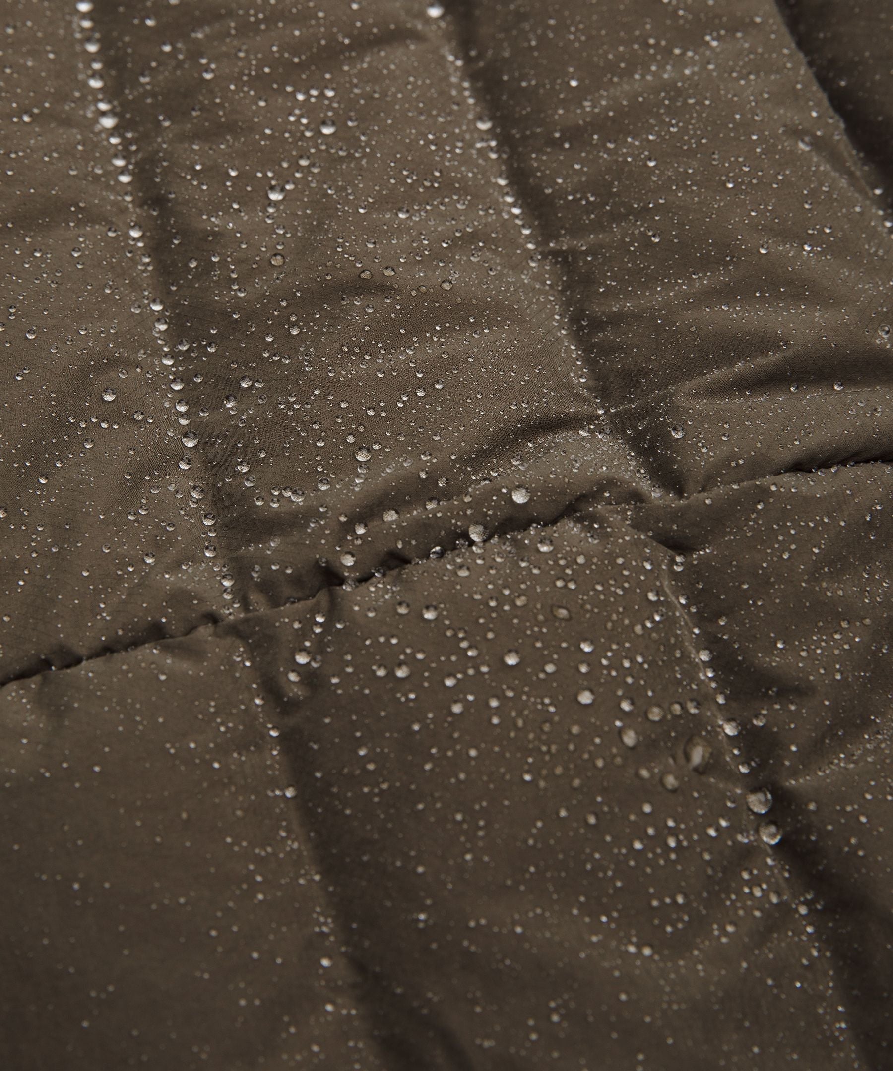 #color_olive-brown