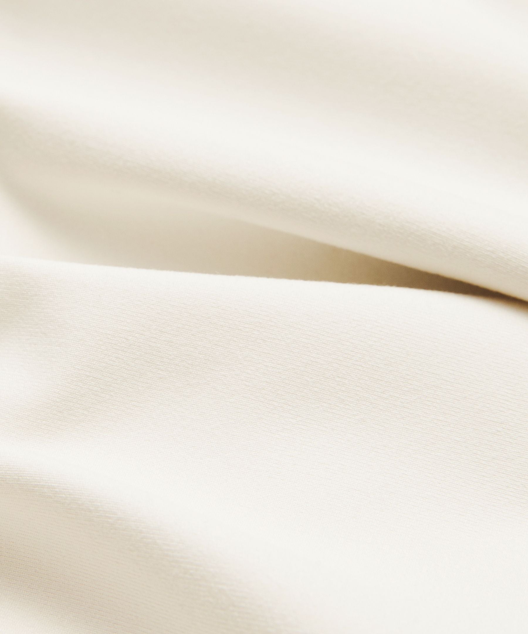#color_light-ivory