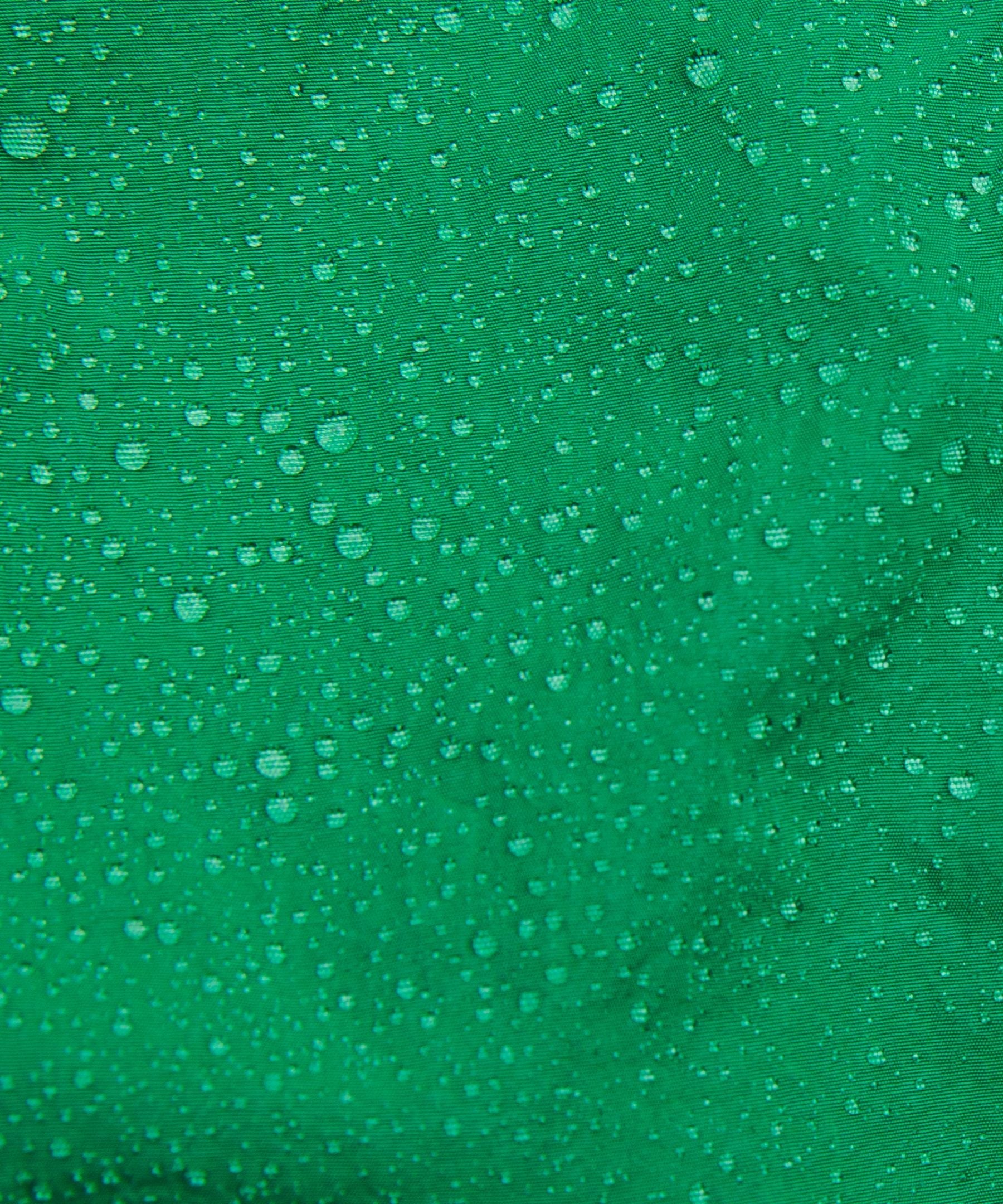 #color_raceway-green