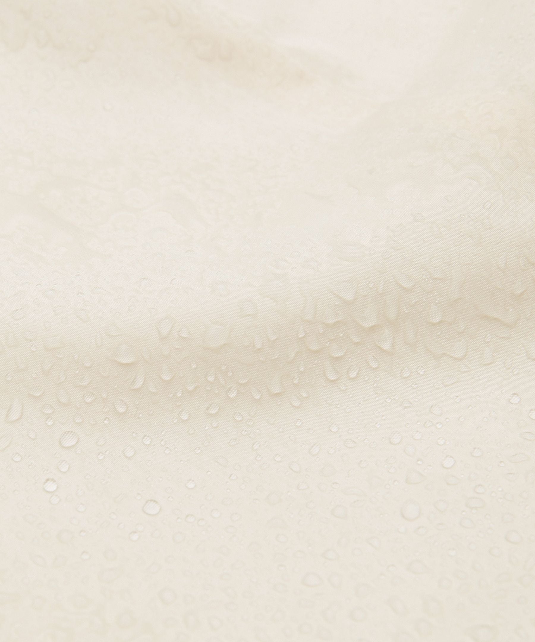 #color_light-ivory