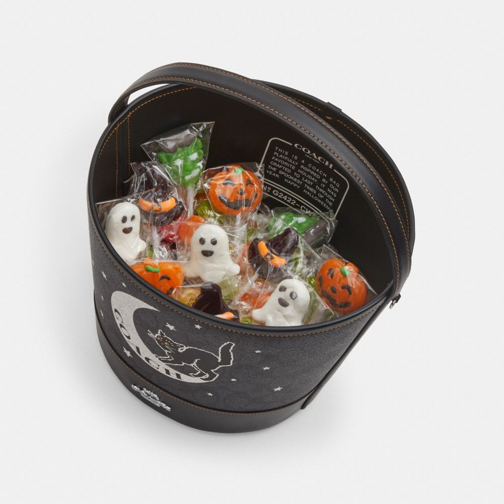 Coach Trick Or Treat Bucket With Halloween Cat In Regenerative Cotton Silver Black