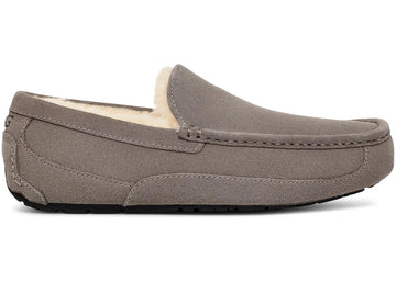 Ugg Ascot Slipper Grey