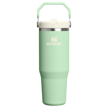 The IceFlow Flip Straw Tumbler | 30 OZ Pistachio Pistachio