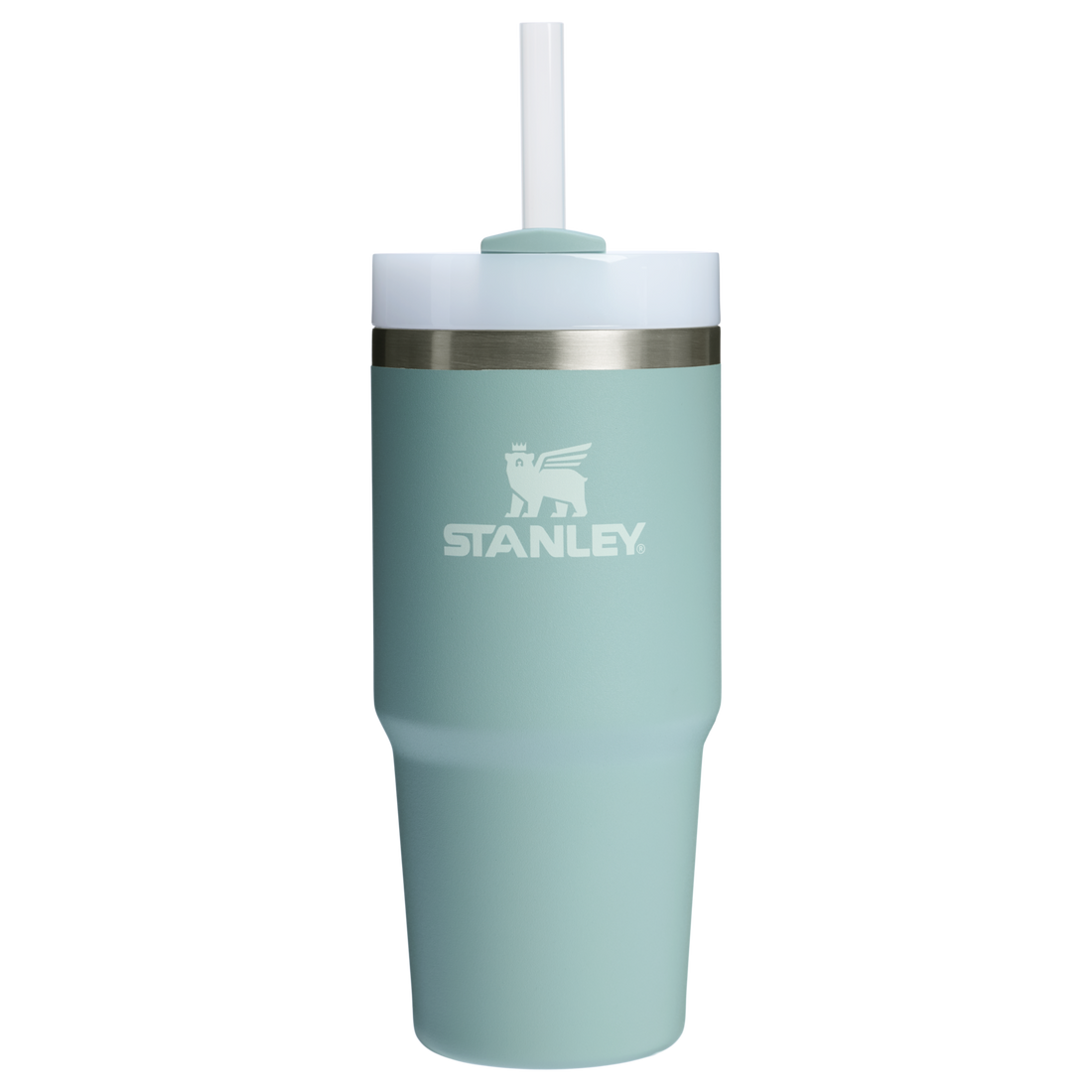 The Quencher H2.0 FlowState Tumbler | 14 OZ Seafoam Seafoam