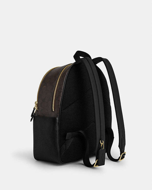 Court Backpack In Signature Canvas Signature Canvas-Gold-Walnut-Black Signature Canvas-Gold-Walnut-Black