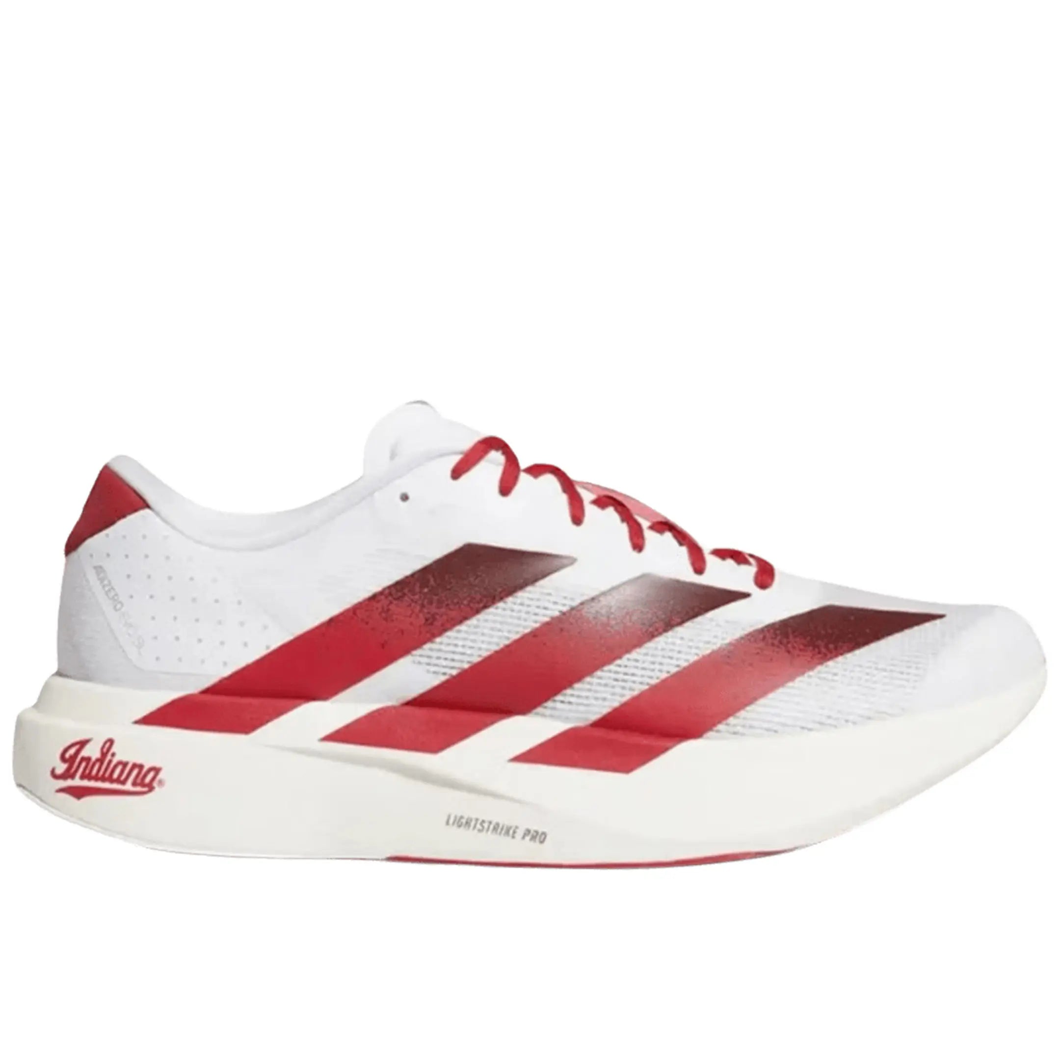 Adidas Adizero Evo SL Indiana