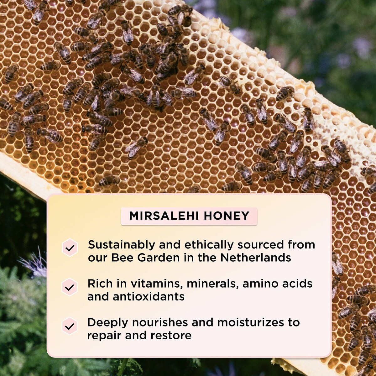 Honey Infused Leave-In Conditioner