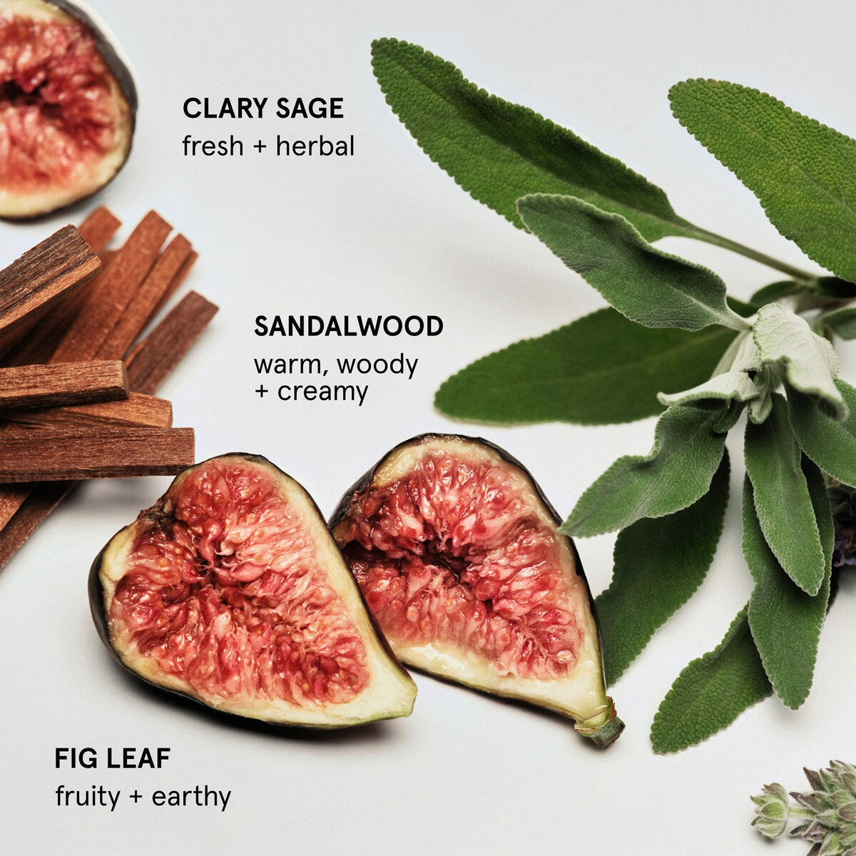 Sandstone Body & Hair Fragrance Mist