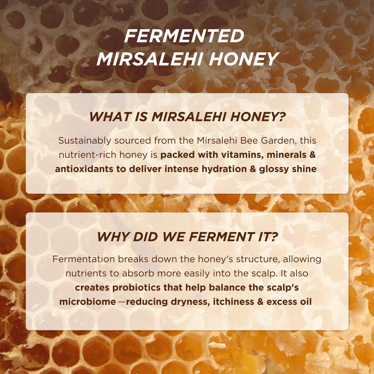 Honey Gloss Ceramide Therapy Hydrating Shampoo