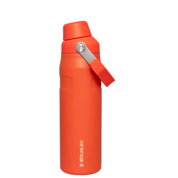 IceFlow Bottle with Fast Flow Lid | 24 OZ Tigerlily Tigerlily
