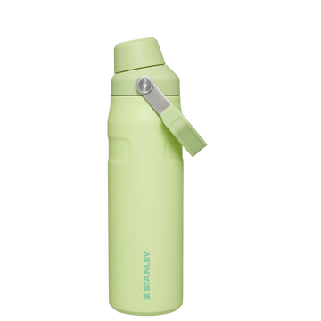 IceFlow Bottle with Fast Flow Lid | 24 OZ Citron Citron