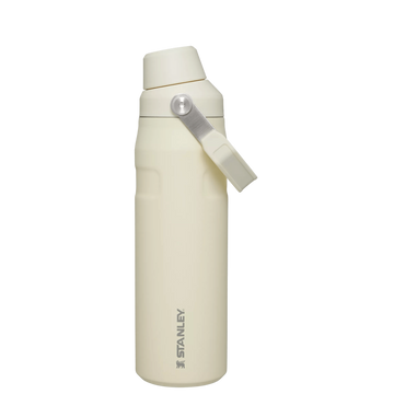IceFlow Bottle with Fast Flow Lid | 24 OZ Cream Glimmer Cream Glimmer